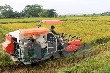 Thủ tướng chỉ đạo tổng điều tra nông thôn, nông nghiệp và thủy sản
